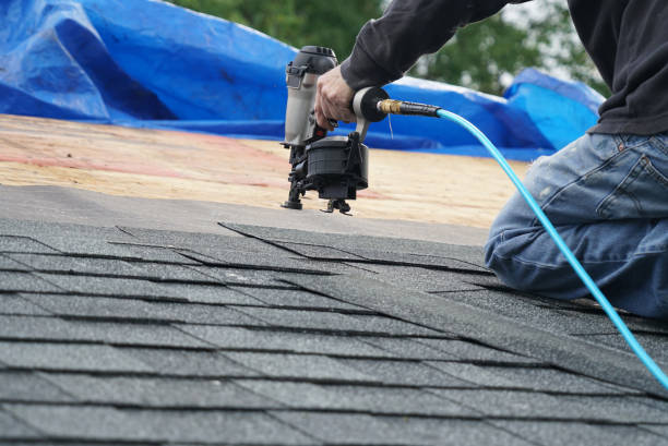 Best Roof Gutter Cleaning  in Reston, VA