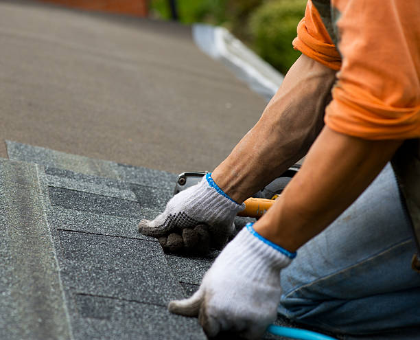 Best Roof Gutter Cleaning  in Reston, VA